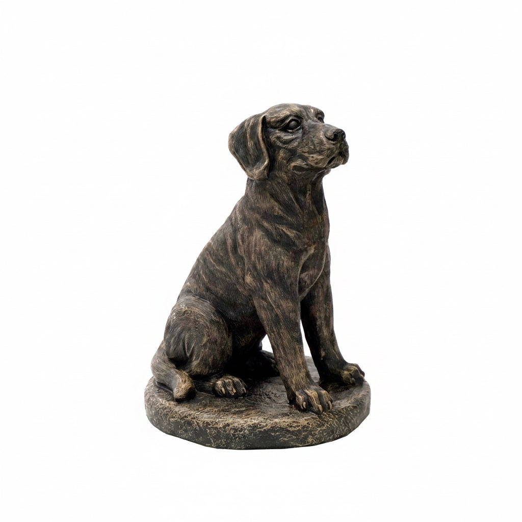 ๐พ Athens Stone Casting Sitting Lab on Base
