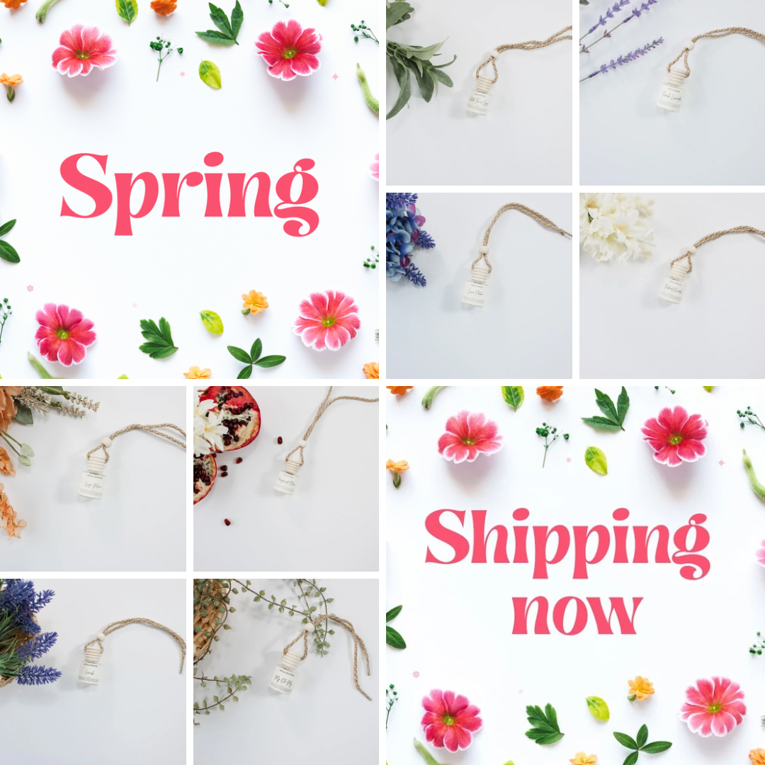 SPRING CAR DIFFUSERS: FRENCH LAVENDER