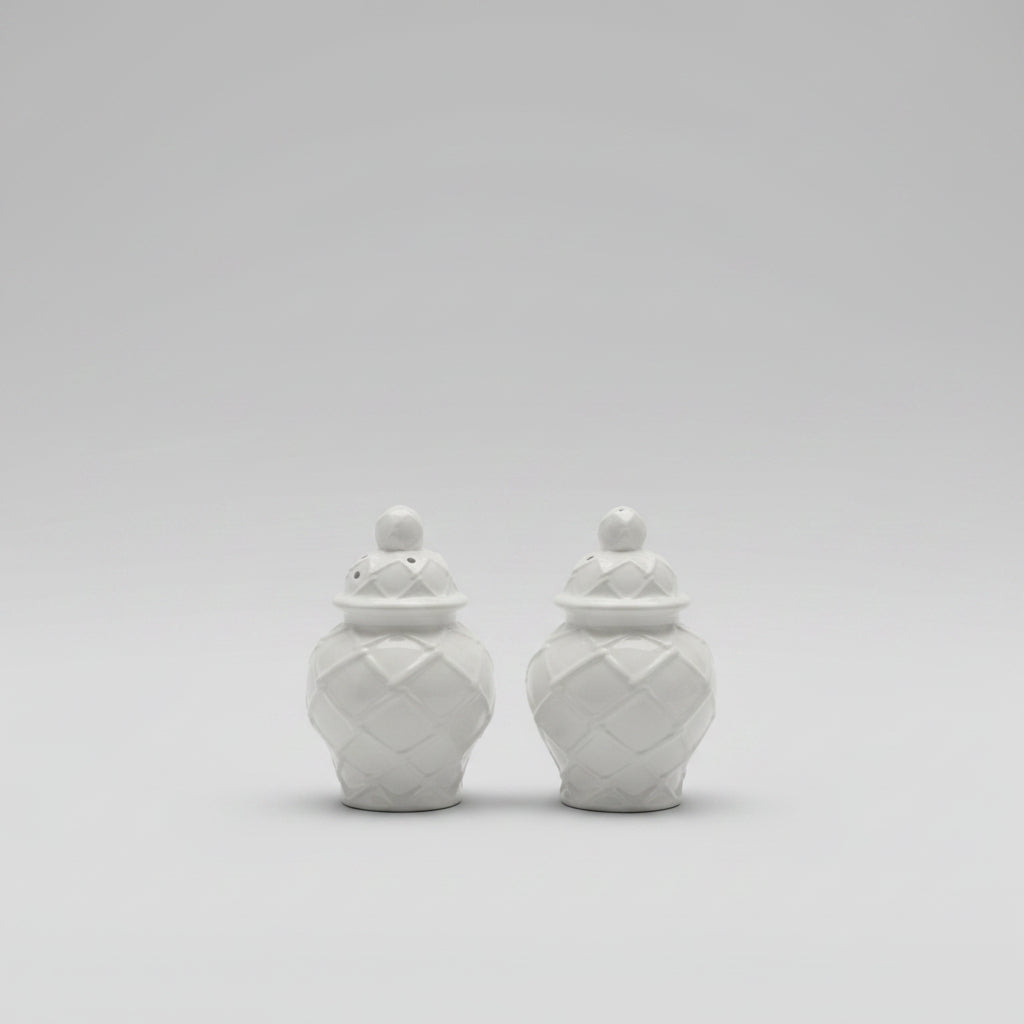 White Textured Jar Salt & Pepper Shaker Boxed Set