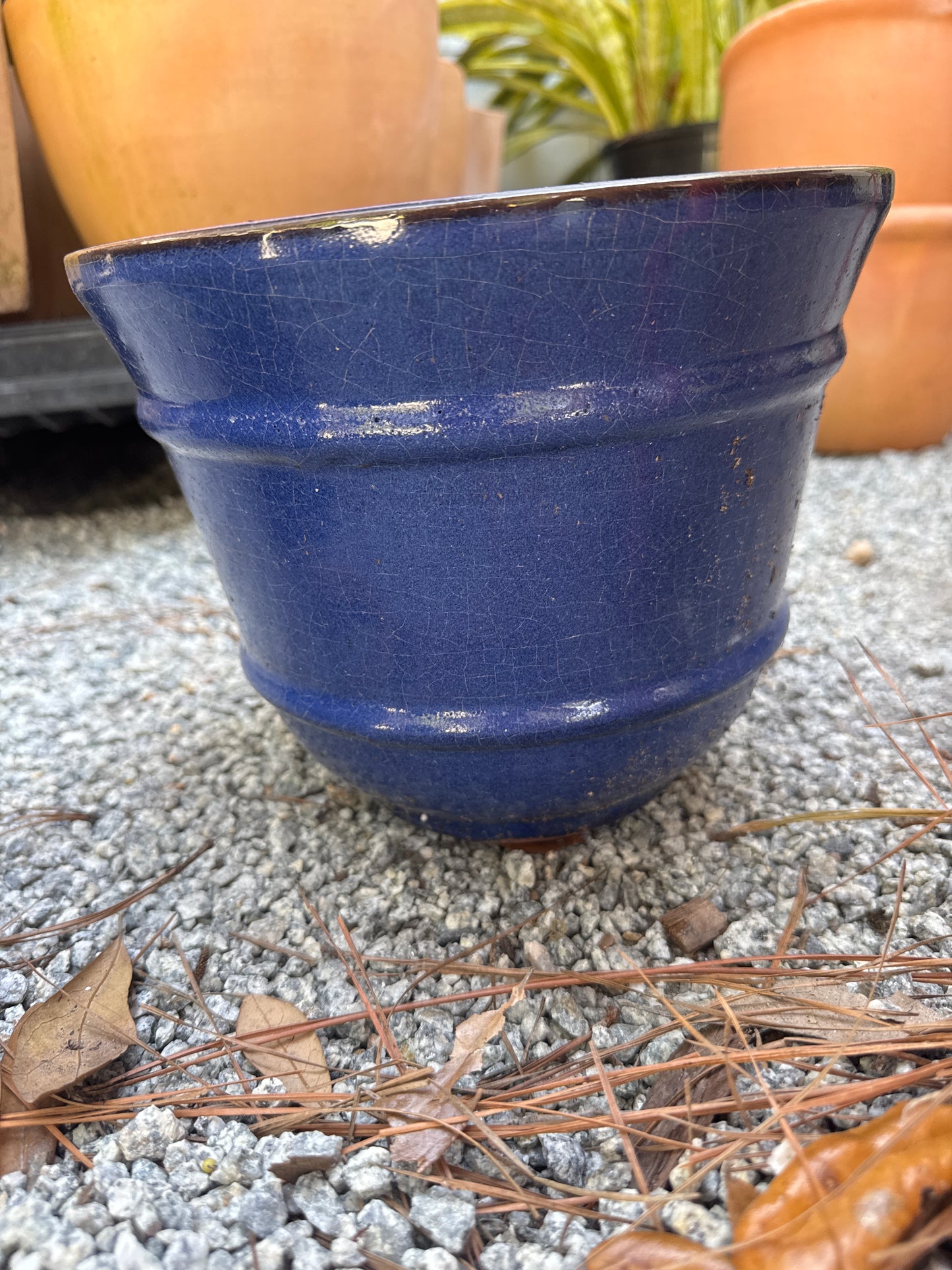 MCarr Rnd Pltr Lt Blue 9.4"