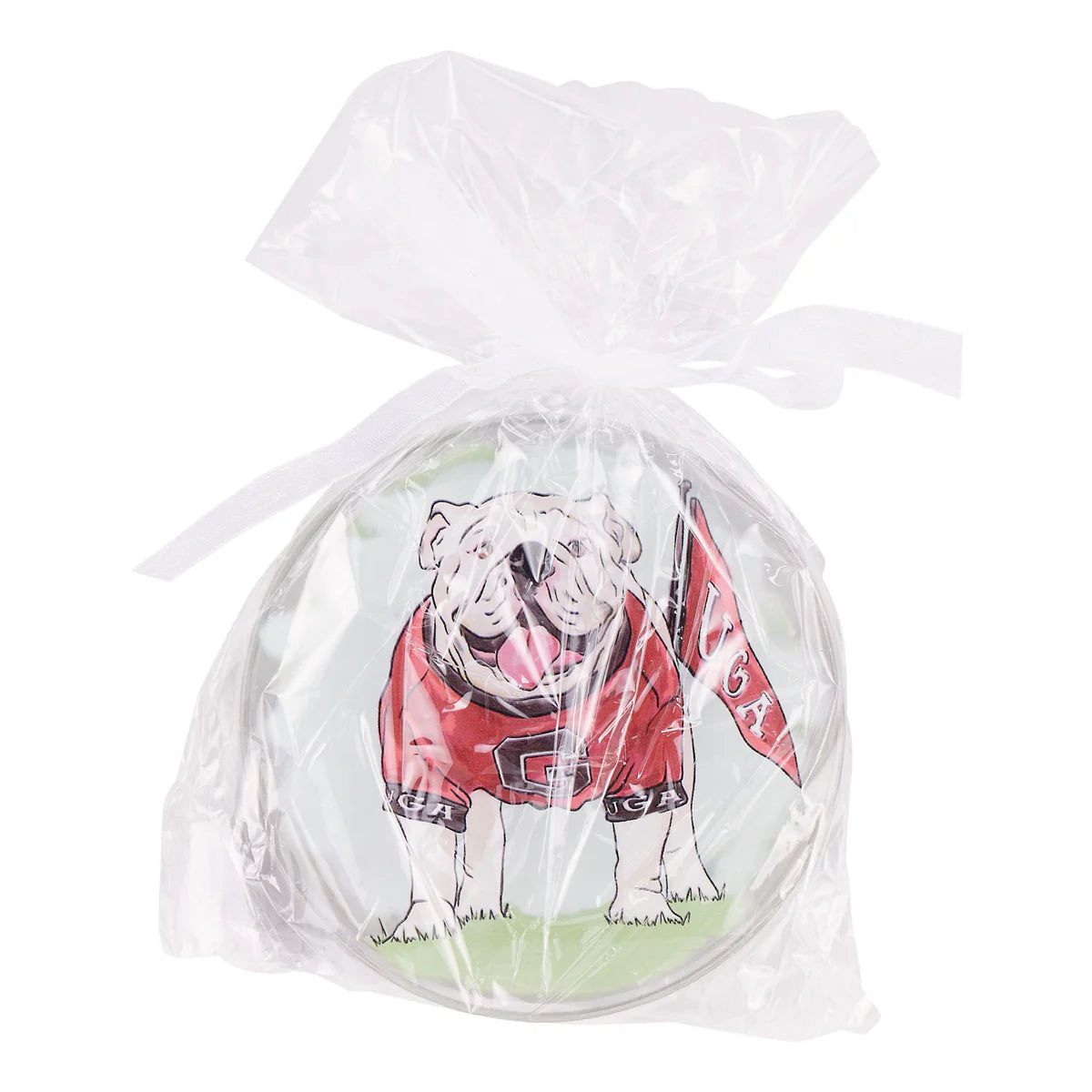 Georgia Ornament Set of 4