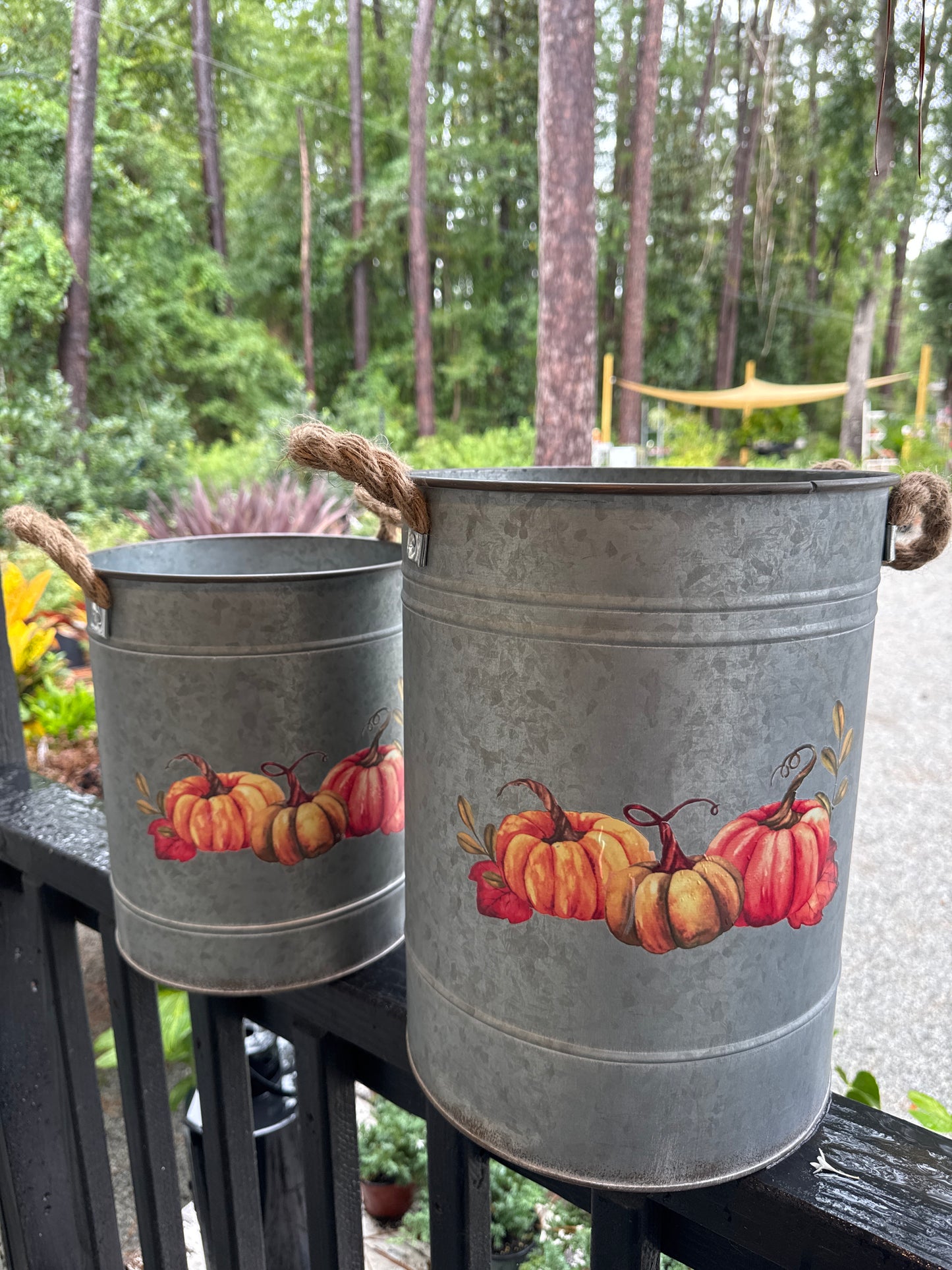 Tall Autumn Buckets