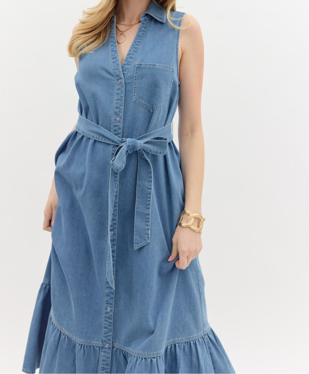 Denim Dream Midi Dress