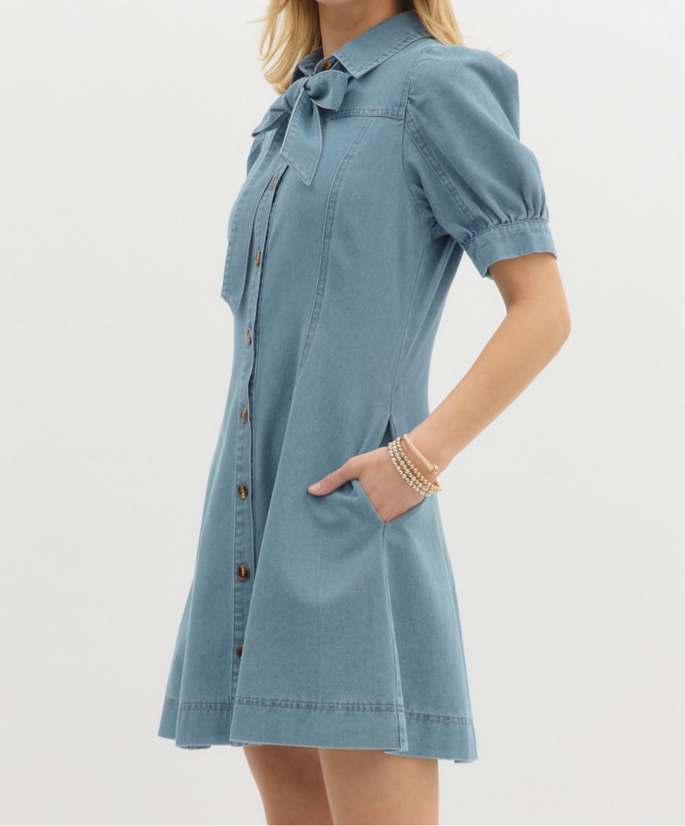 Blue Belle Denim Neck Tie Dress