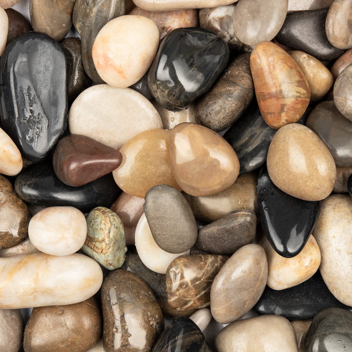 🪨 Akasha Kalahari River Rocks – 4 lb Container Natural texture. Timeless beauty. Effortless finishing touch.