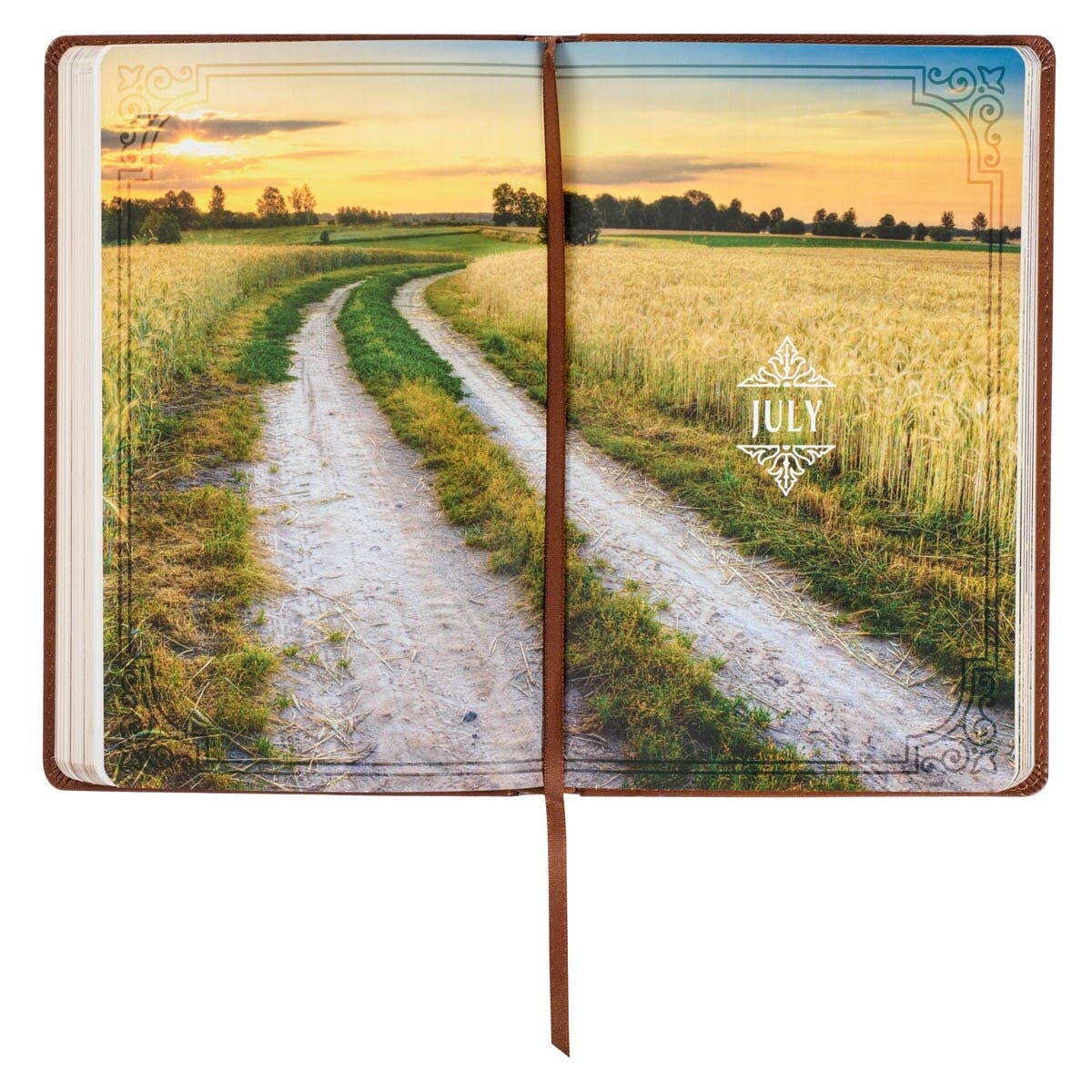🤎📖 Walking With God Large Print Devotional