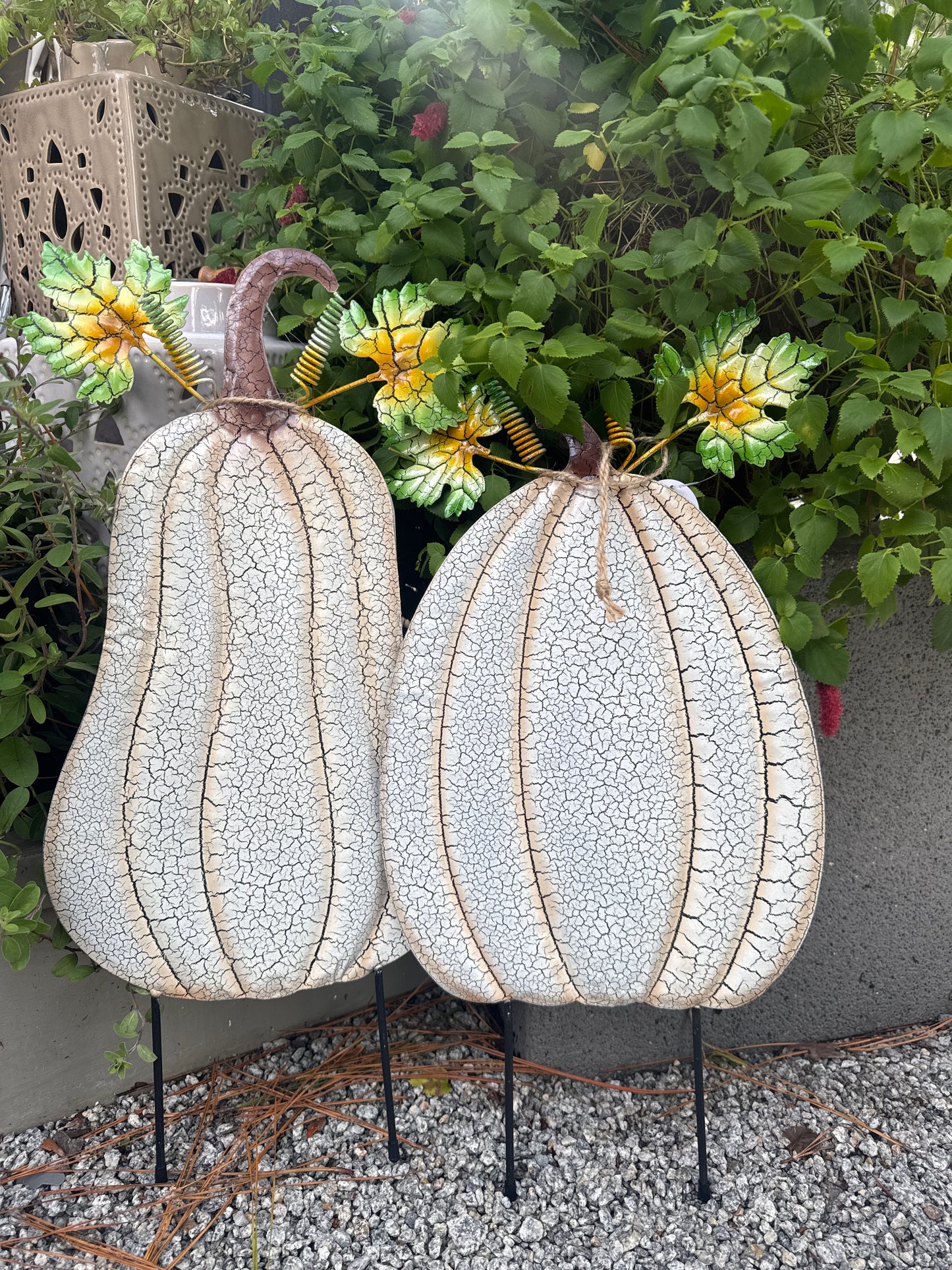 White Shiny Cracked Pumpkins