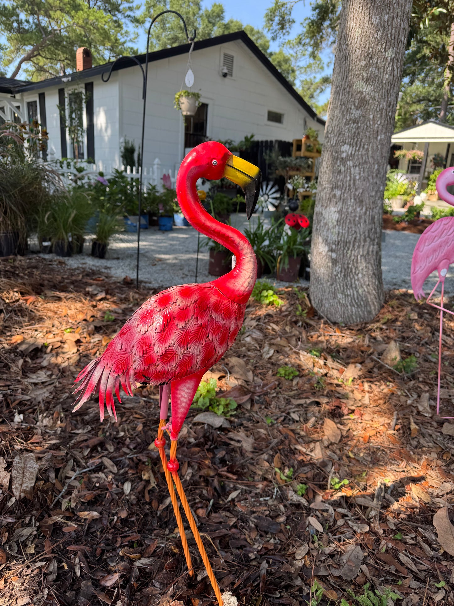 Big Flamingo 3D