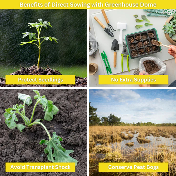 Rooted Promise Sunflower Garden Kit for Kids