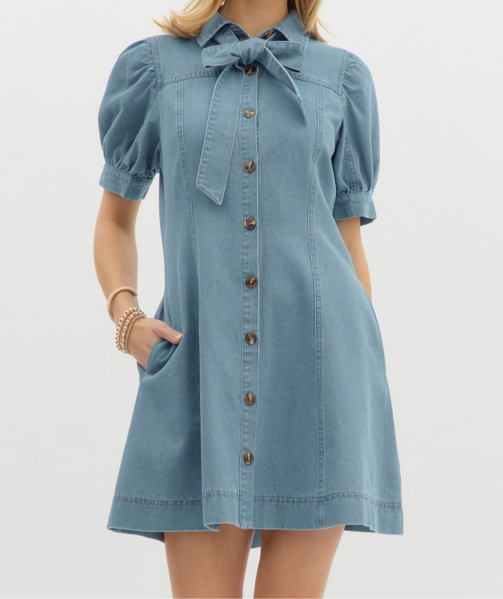 Blue Belle Denim Neck Tie Dress