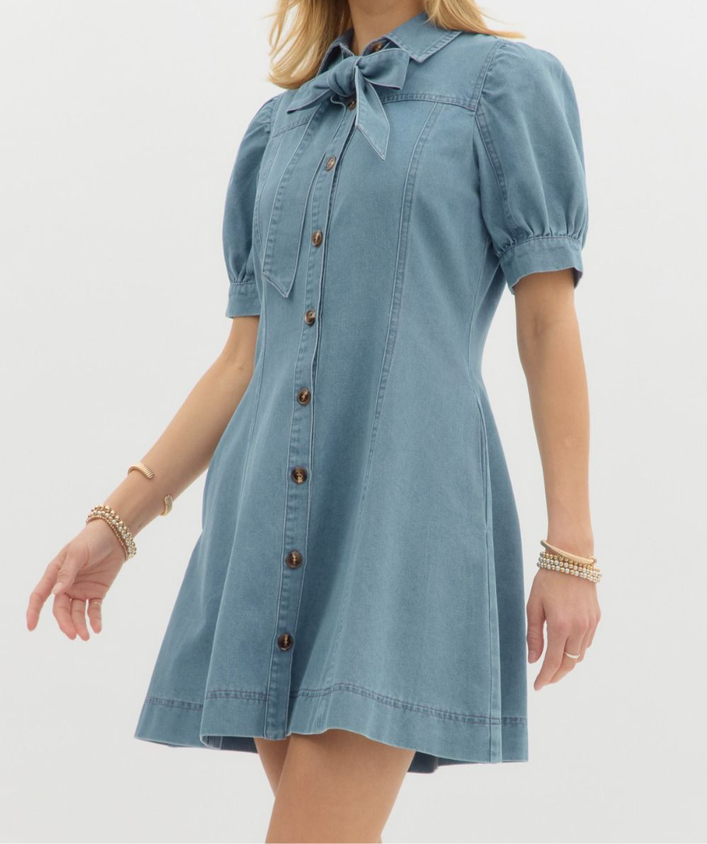 Blue Belle Denim Neck Tie Dress