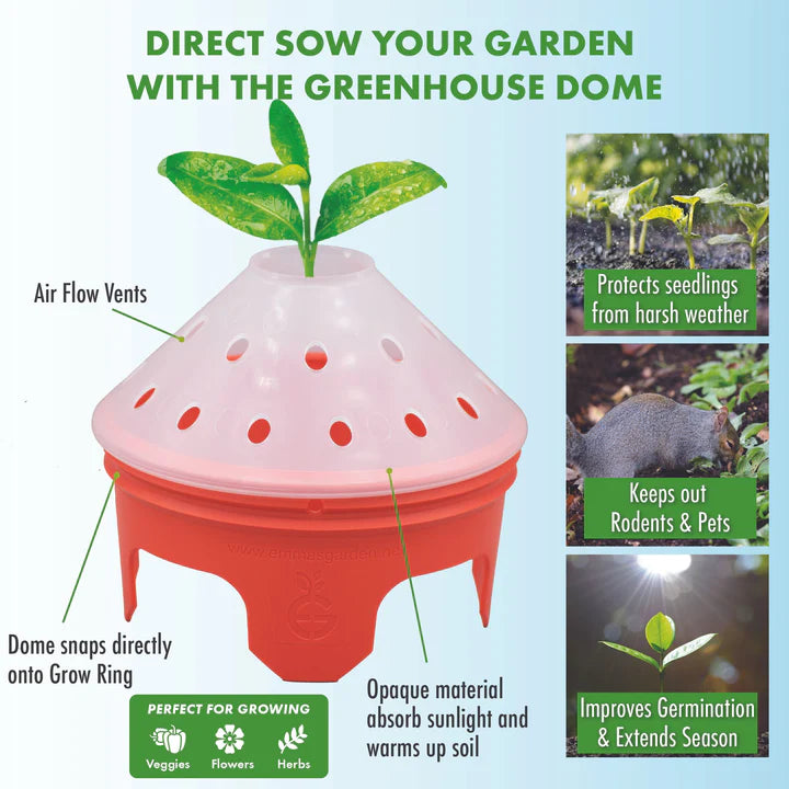 Rooted Promise Pumpkin Garden Kit for Kids
