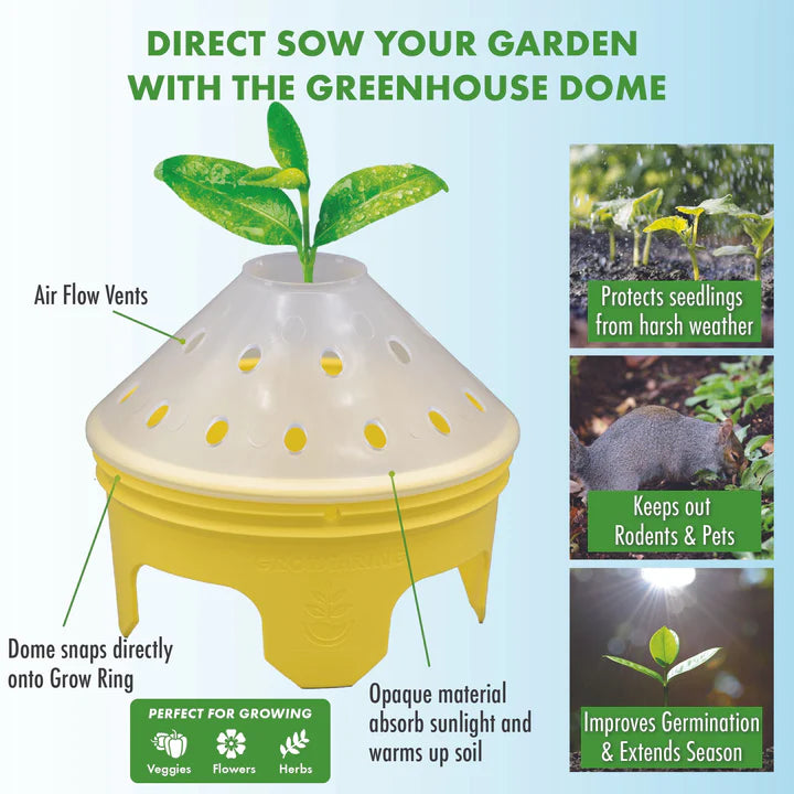 Rooted Promise Sunflower Garden Kit for Kids