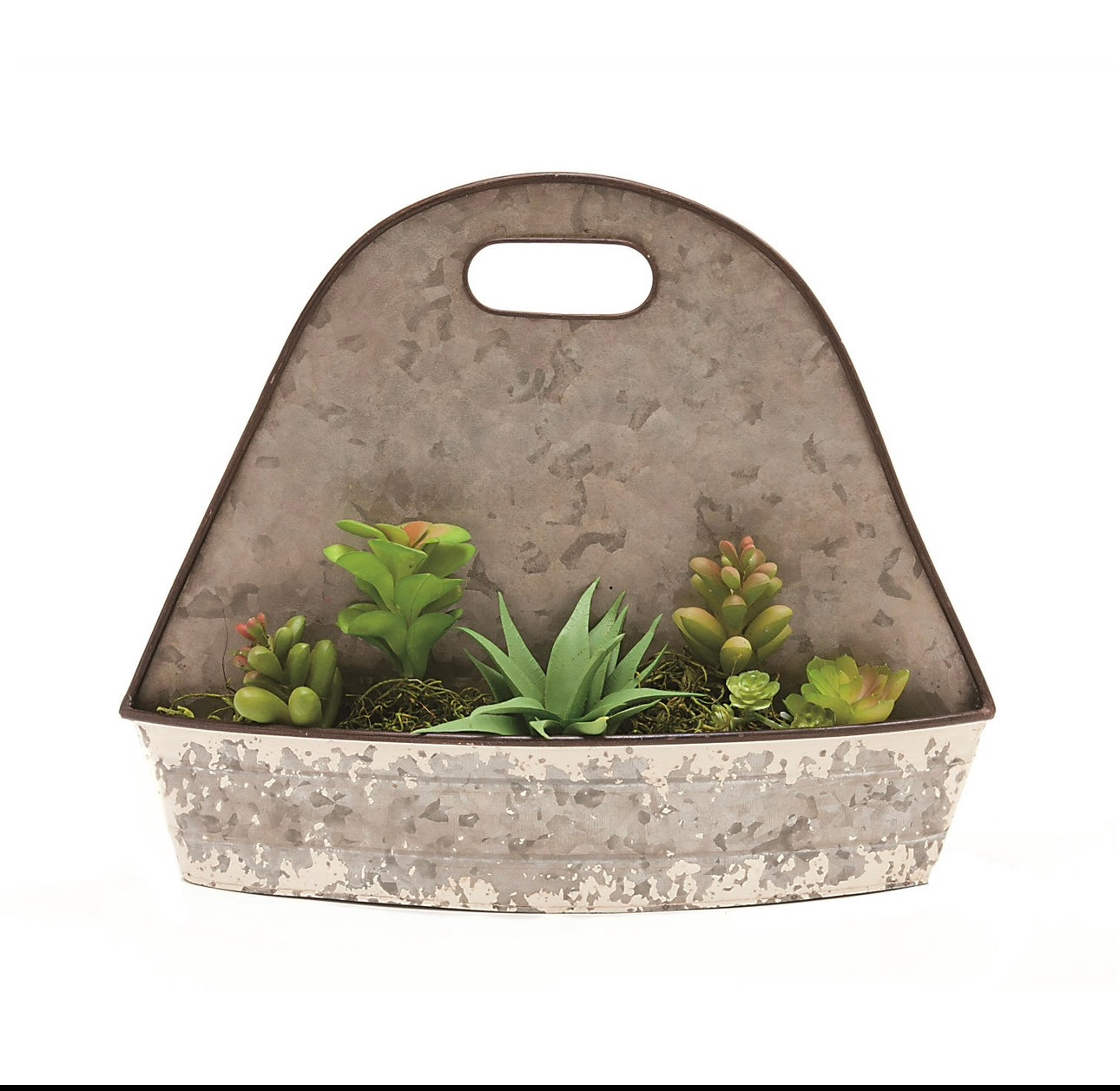 Deer Park Succulent Wall Planter