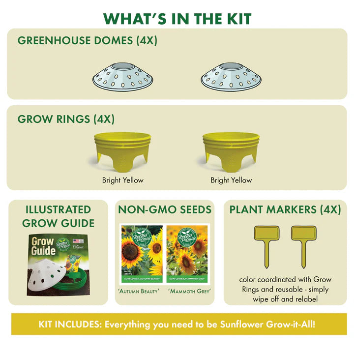 Rooted Promise Sunflower Garden Kit for Kids