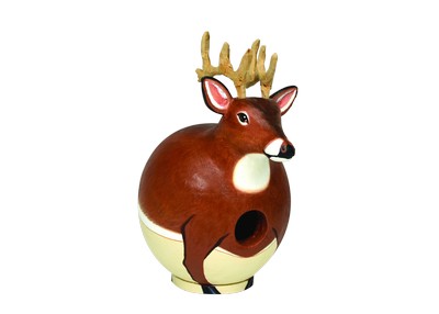 White Tail Deer Gord-O
