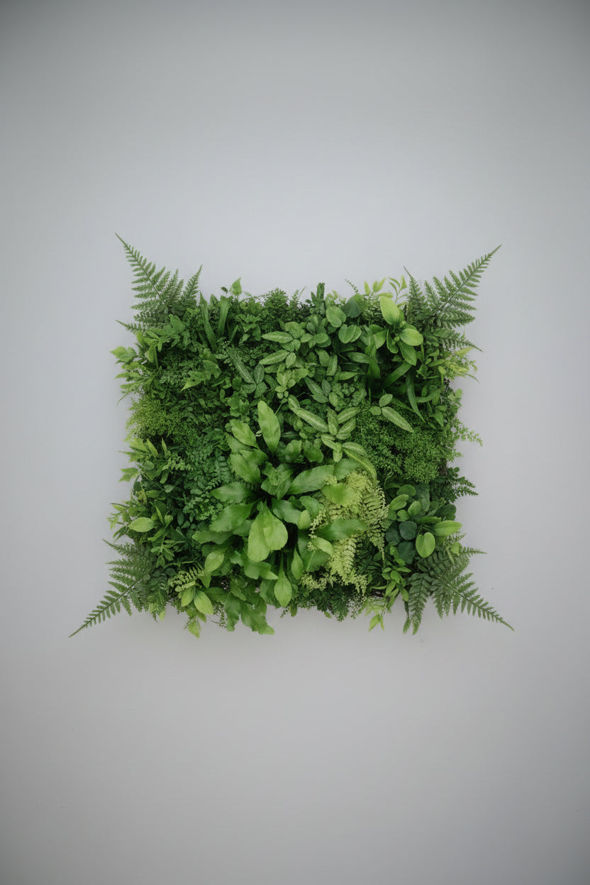 6" Fern Assorted (Individually Sold)