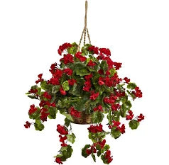 Geranium (Hanging Basket)