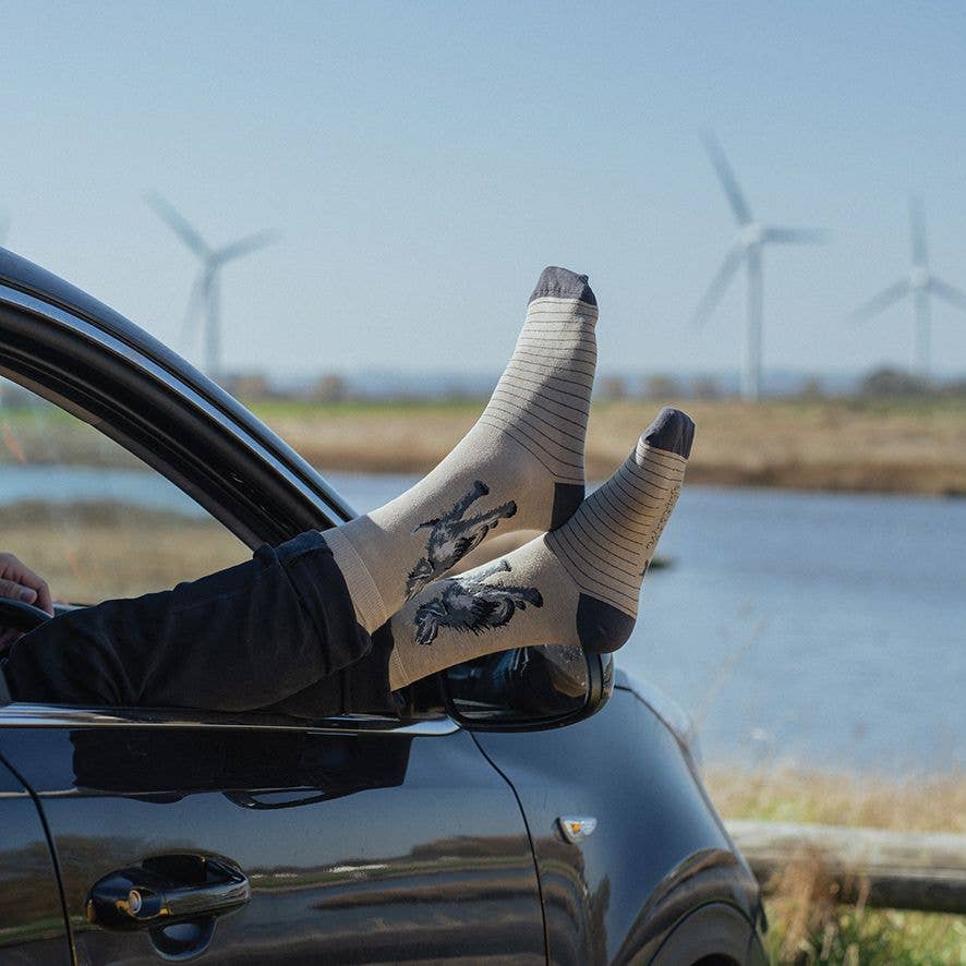 Black Labrador Men's Sock - Walkies
