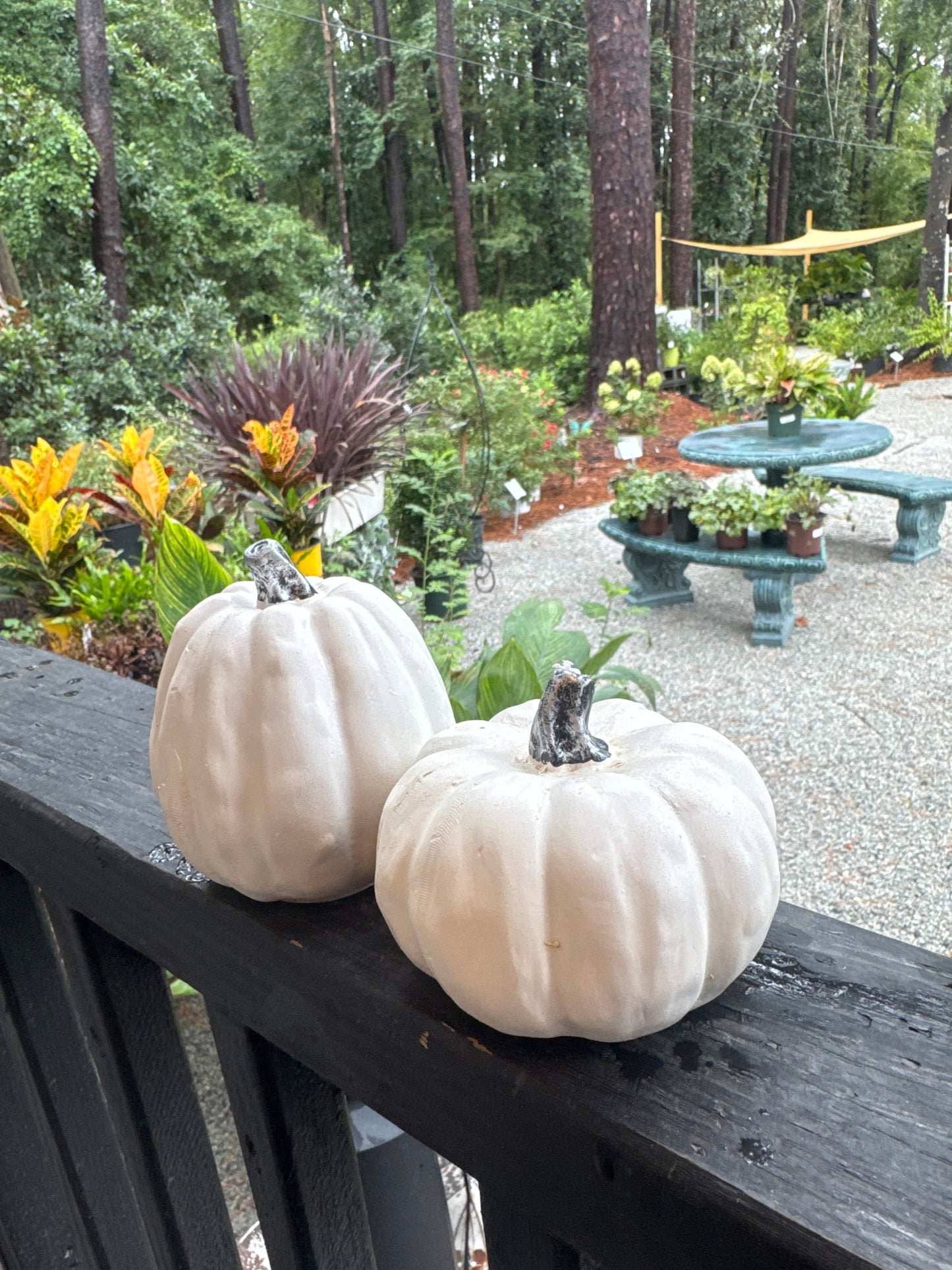 Fall Poly White Pumpkin