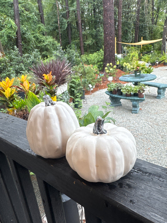 Fall Poly White Pumpkin
