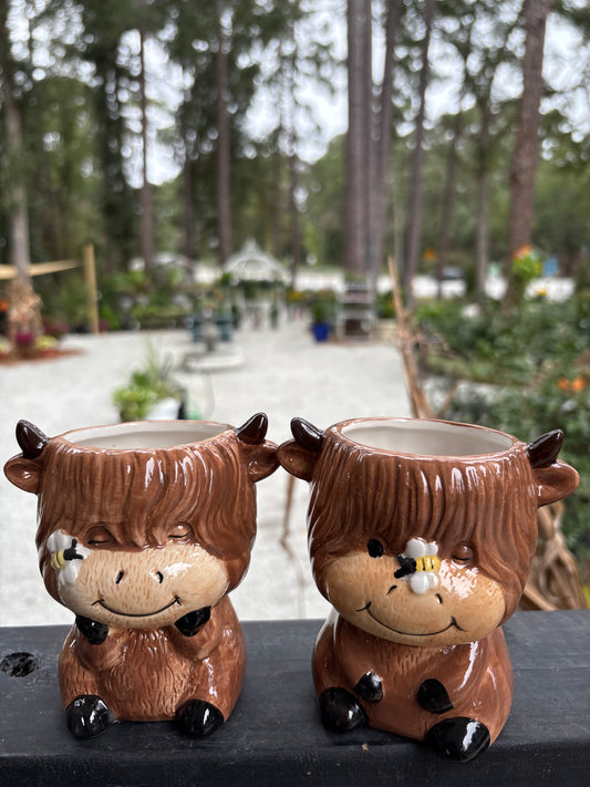 Poly Hairy Cow Planter