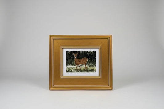 Green Alert at Golden Hour 5x7 Gold Framed Art by Austin Williams