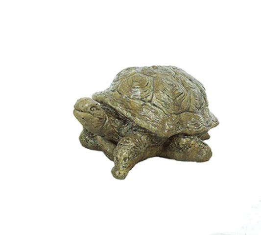 🐢 Athens Stonecasting Medium Box Turtle