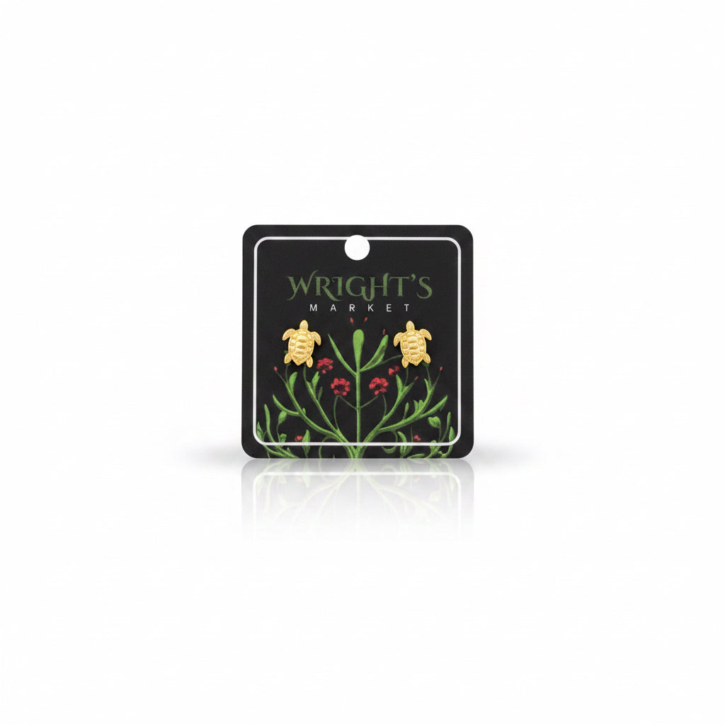Sea Turtle Brass Studs