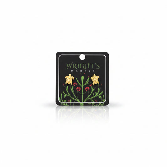Sea Turtle Brass Studs
