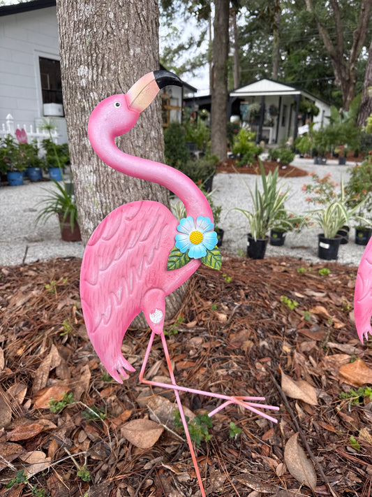 Flamingo with flower