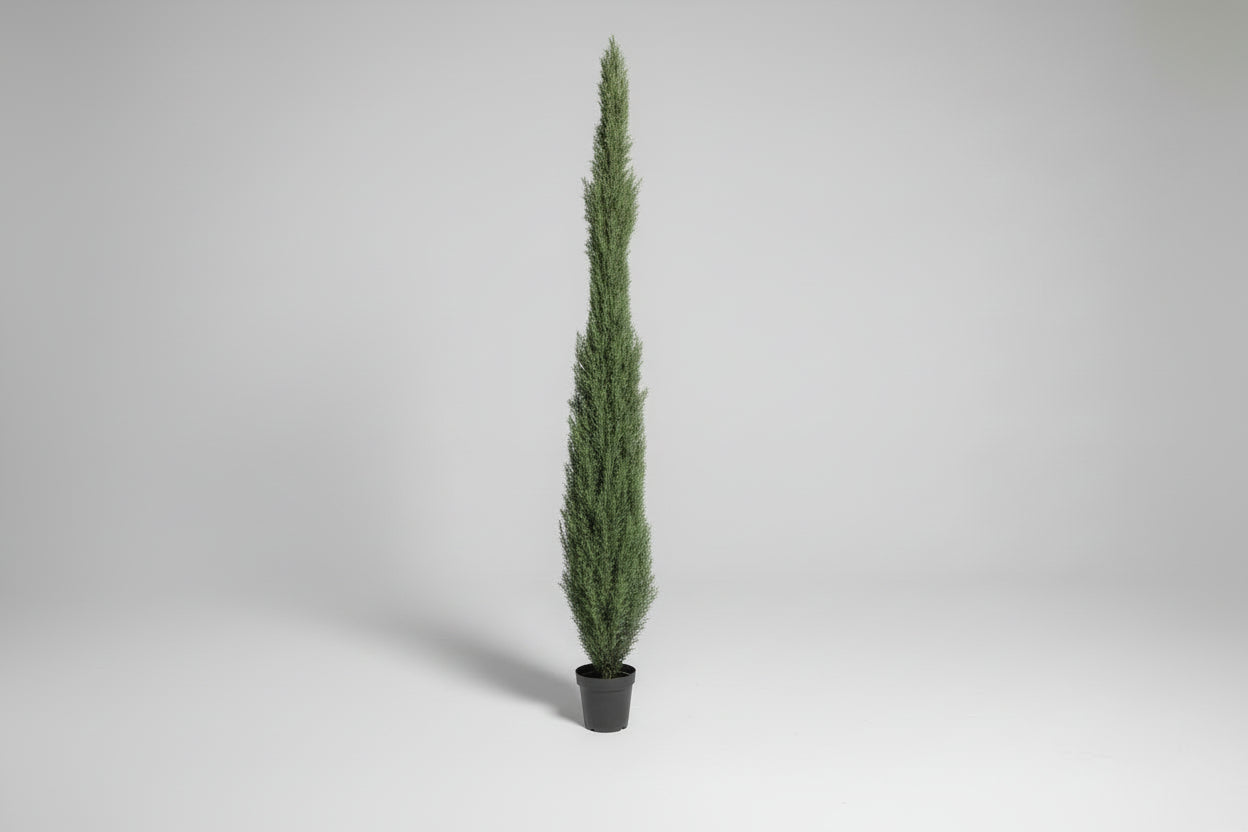 Faux Italian Cypress Tree 9'