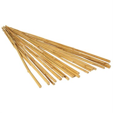 All-Natural Bamboo Garden Stakes  Available in 2 ft, 3 ft, 4 ft, 5 ft & 6 ft Lengths