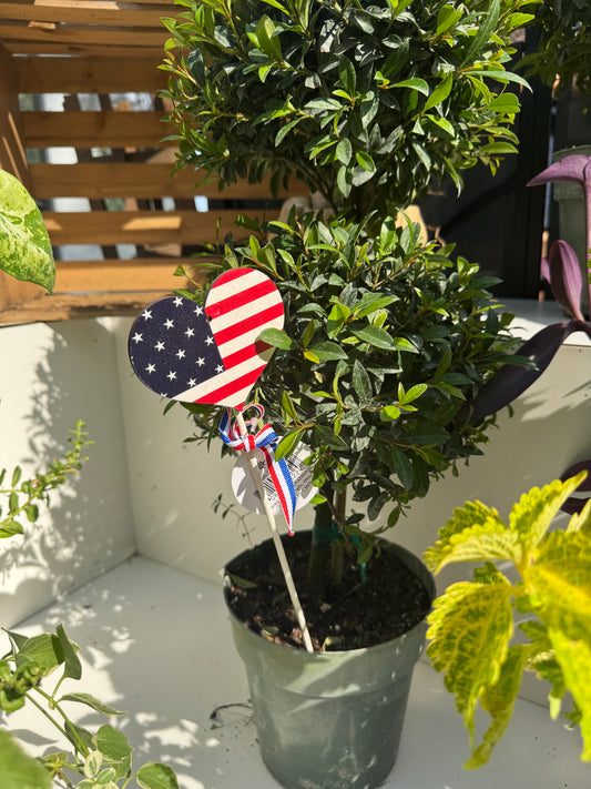 Patriotic Wooden Picks – Sold Separately