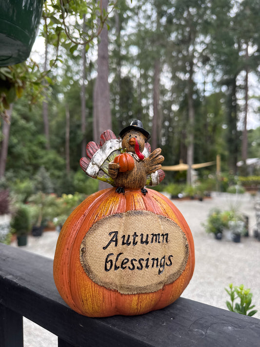 Poly Pumpkin with Turkey