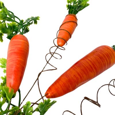 Eastern Sunrise Carrot Spray - Orange 17.5”