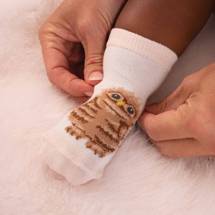 Little Forest Baby Socks Set - 6-12 Months