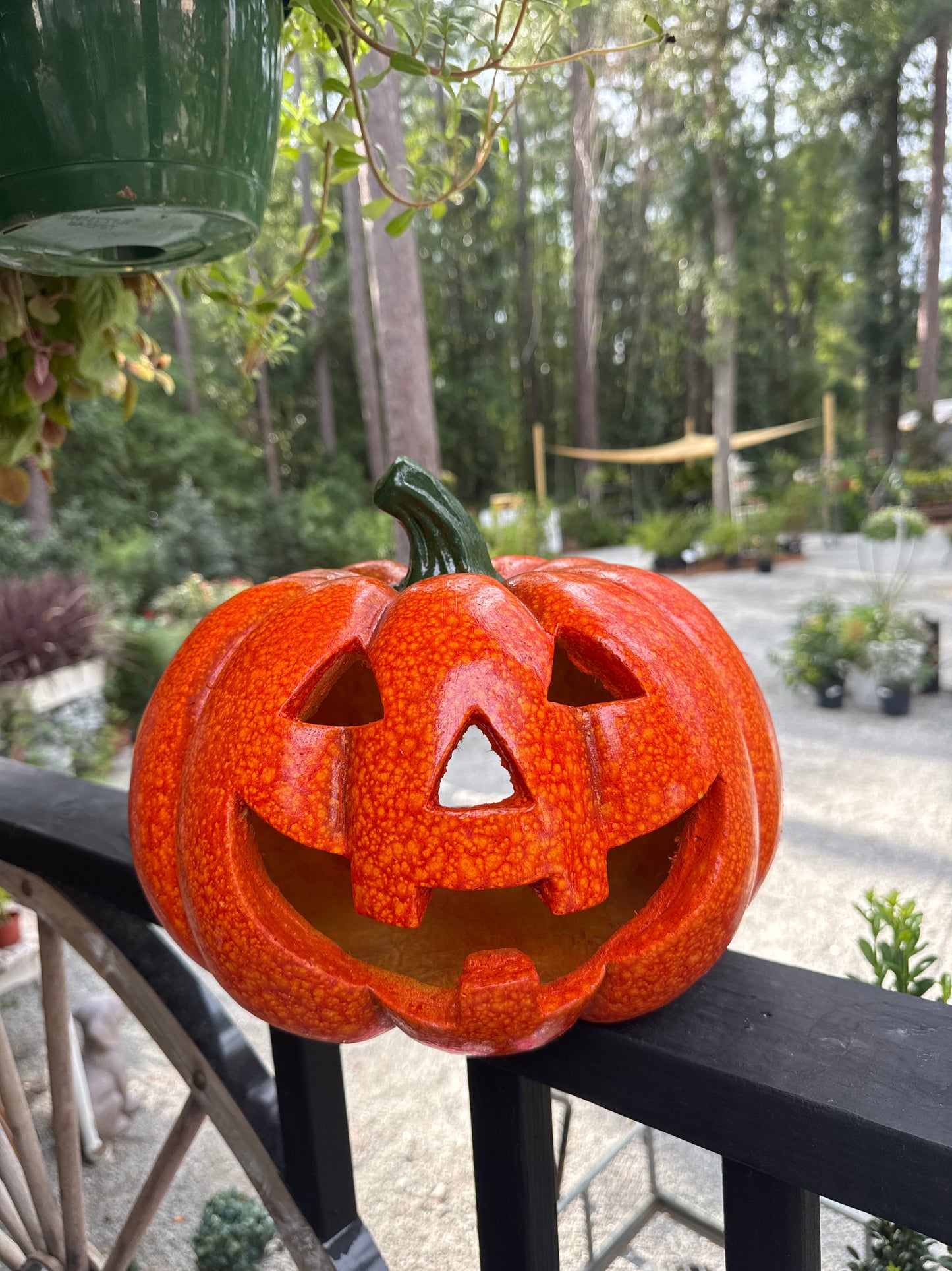 Halloween Jack O Lantern