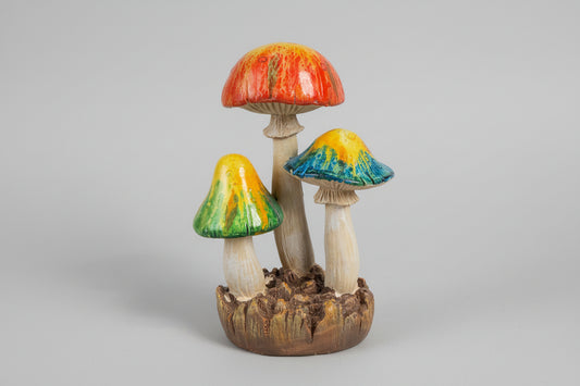 Tricolor Mushrooms
