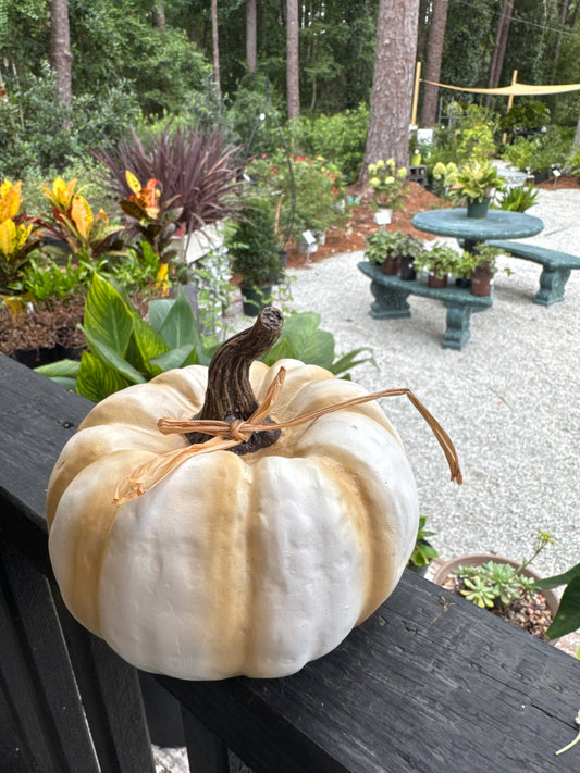 White Poly Pumpkin