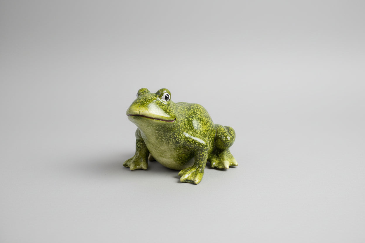 Laying Down Frog