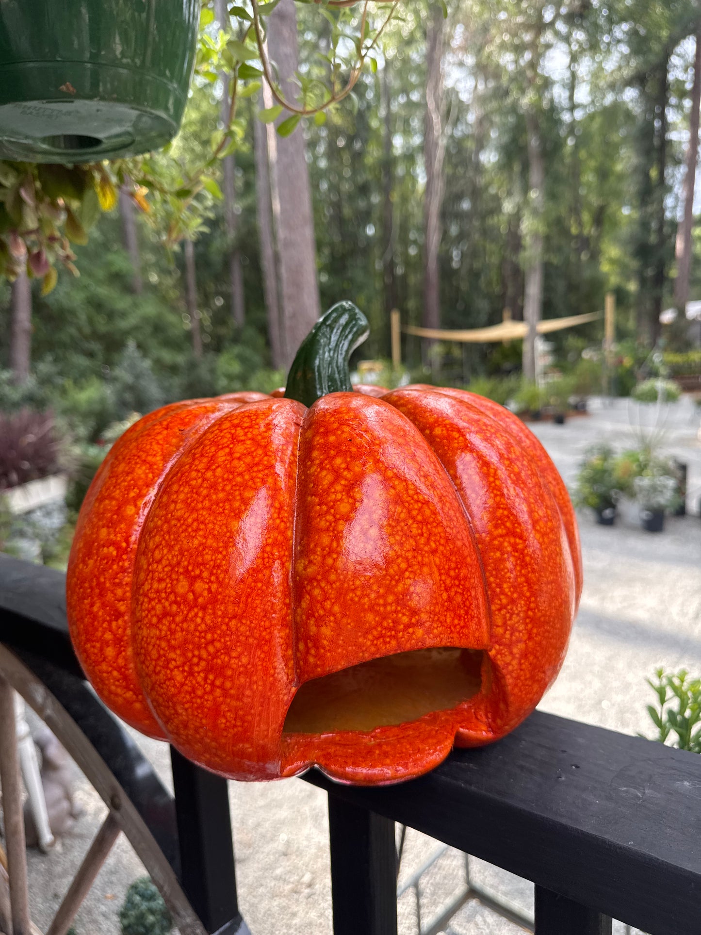 Halloween Jack O Lantern