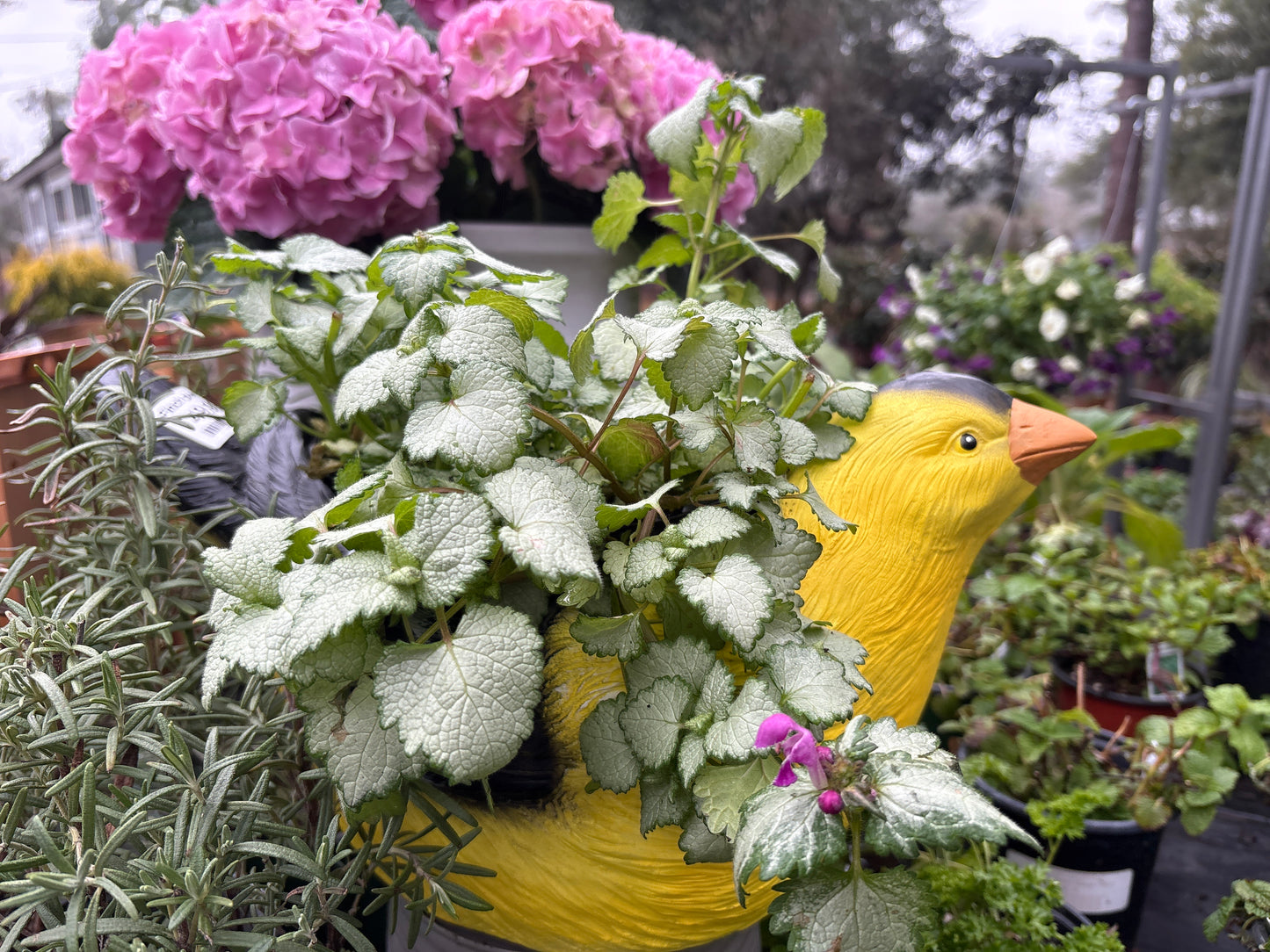 Esschert Yellow Finch Garden Planter – Whimsical Bird Planter for Indoor & Outdoor Use