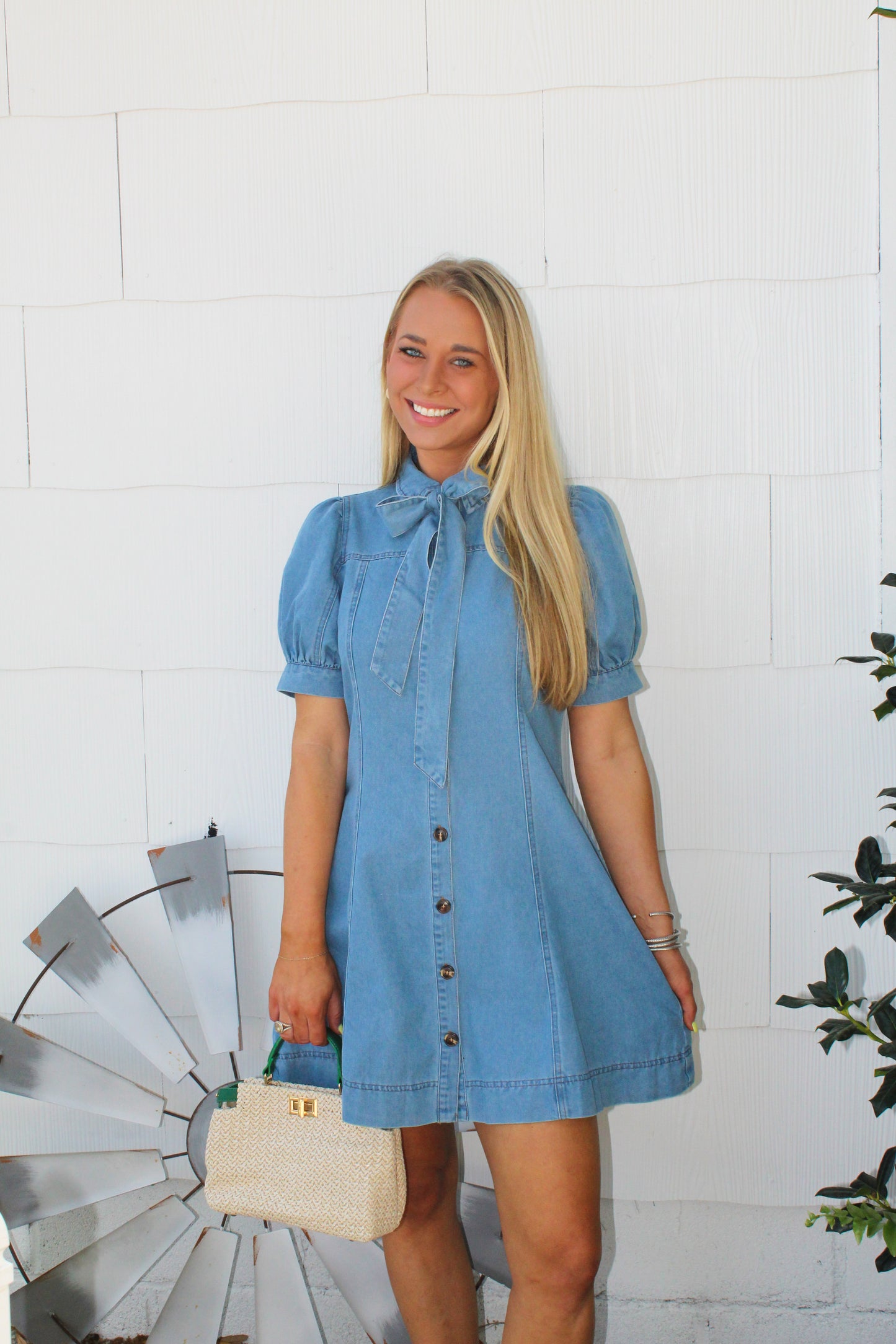 Darcy Denim Neck Tie Dress