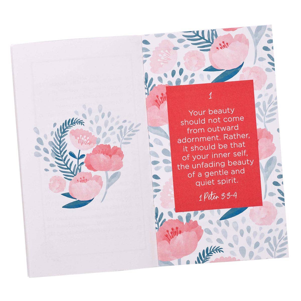 Promises From God for Women – Red & Blue Promise Book