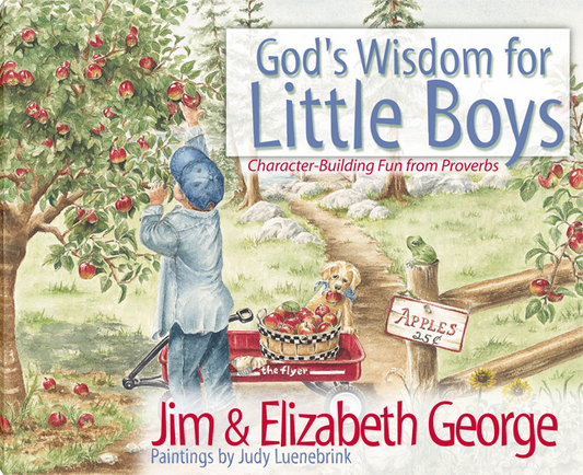 Gods Wisdom for Little Boys