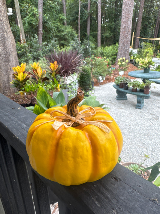 Light Orange poly Pumpkin