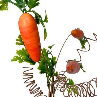 Eastern Sunrise Carrot Spray - Orange 17.5”