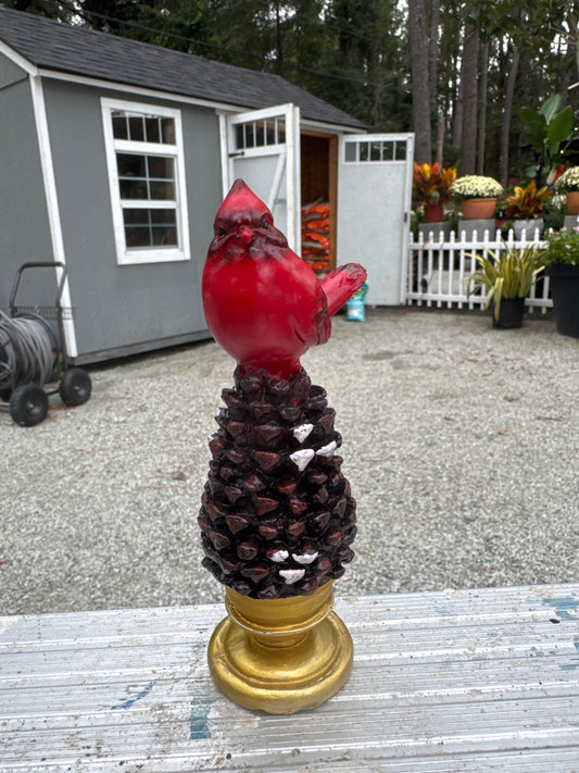 Assorted Poly Cardinals on Pinecones