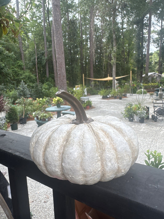 White Poly Pumpkin